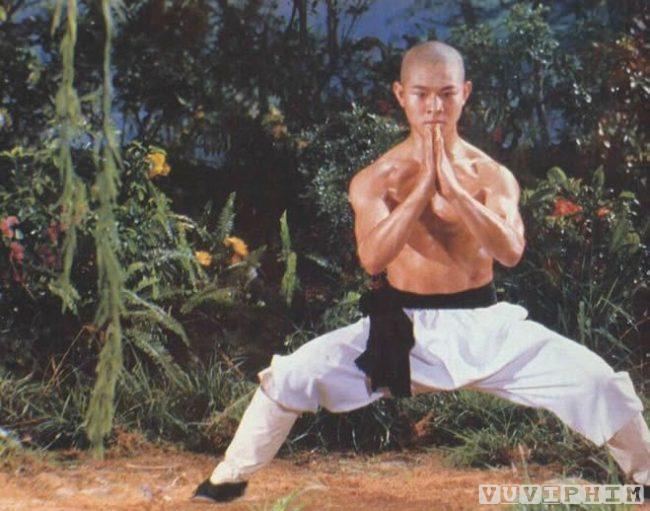 Thieu Lam Tu The Shaolin Temple 1982