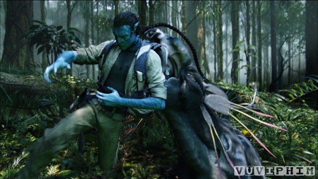 Avatar 2009