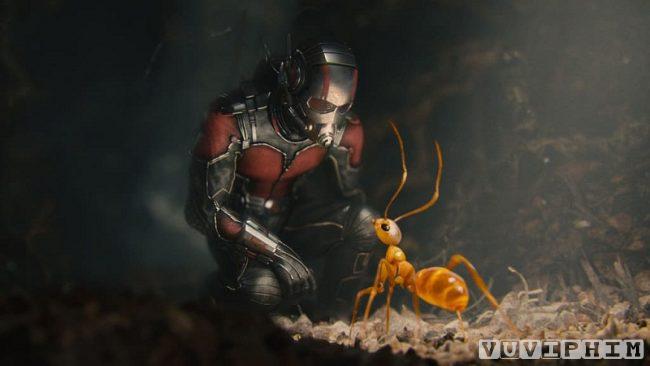 Nguoi Kien Ant-Man 2015