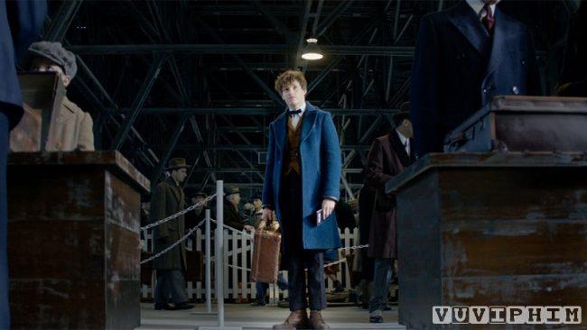 Sinh Vật Huyền Bí Và Nơi Tìm Ra Chúng - Fantastic Beasts and Where to Find Them 2016