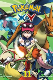 Pokemon XY