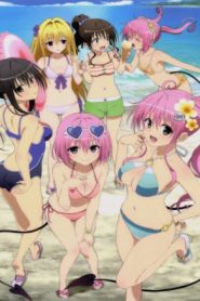 To LOVE-Ru Darkness OVA