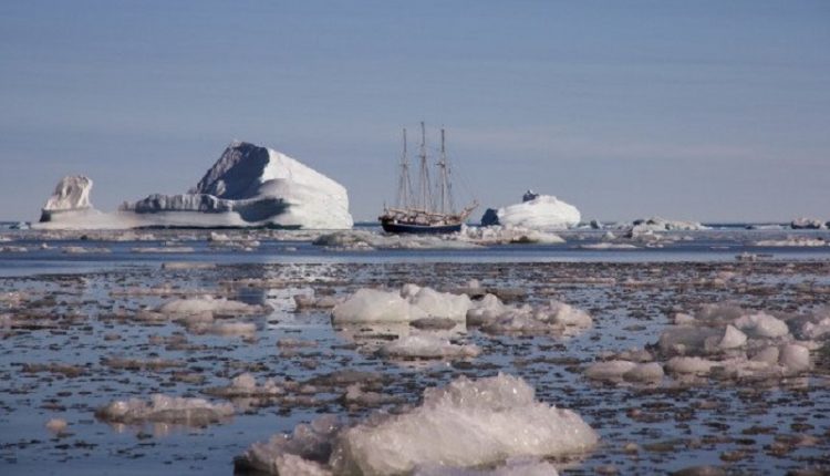 Sinh Tồn Ở Bắc Cực - Arctic (2019)