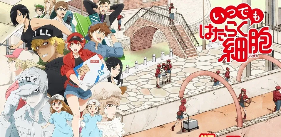 Hataraku Saibou (Phần 2)