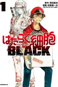 Hataraku Saibou Black (TV)